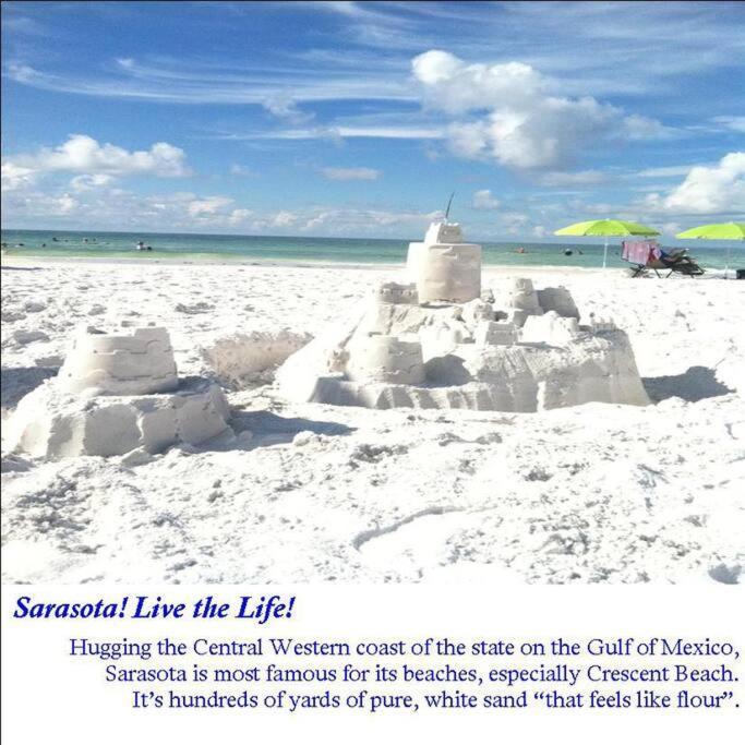 Bernice 3Bd2Bth With Heated Pool Near Siesta Key! Sarasota Eksteriør bilde